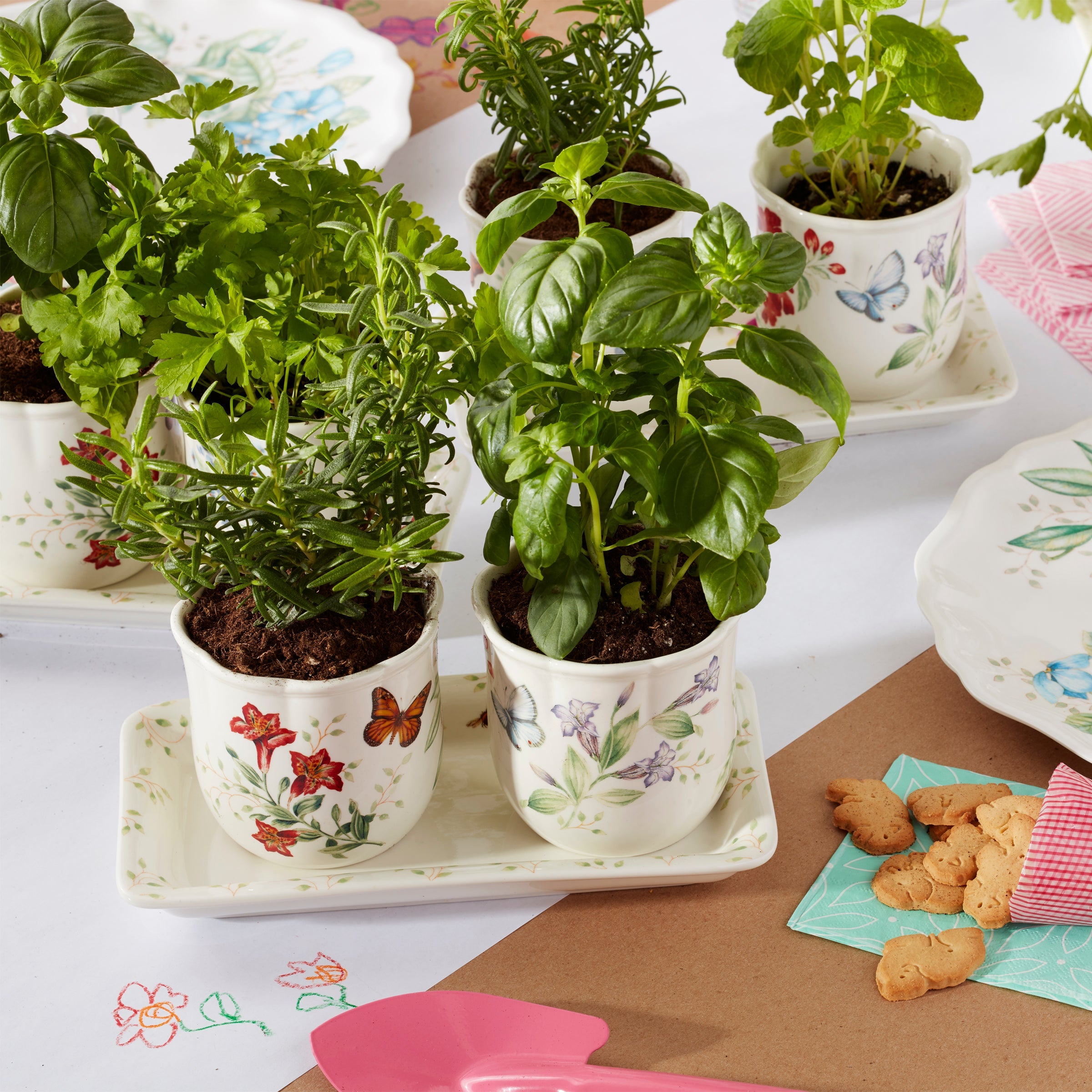 Butterfly Meadow 3 Piece Herb Pots & Tray Set - Image 5