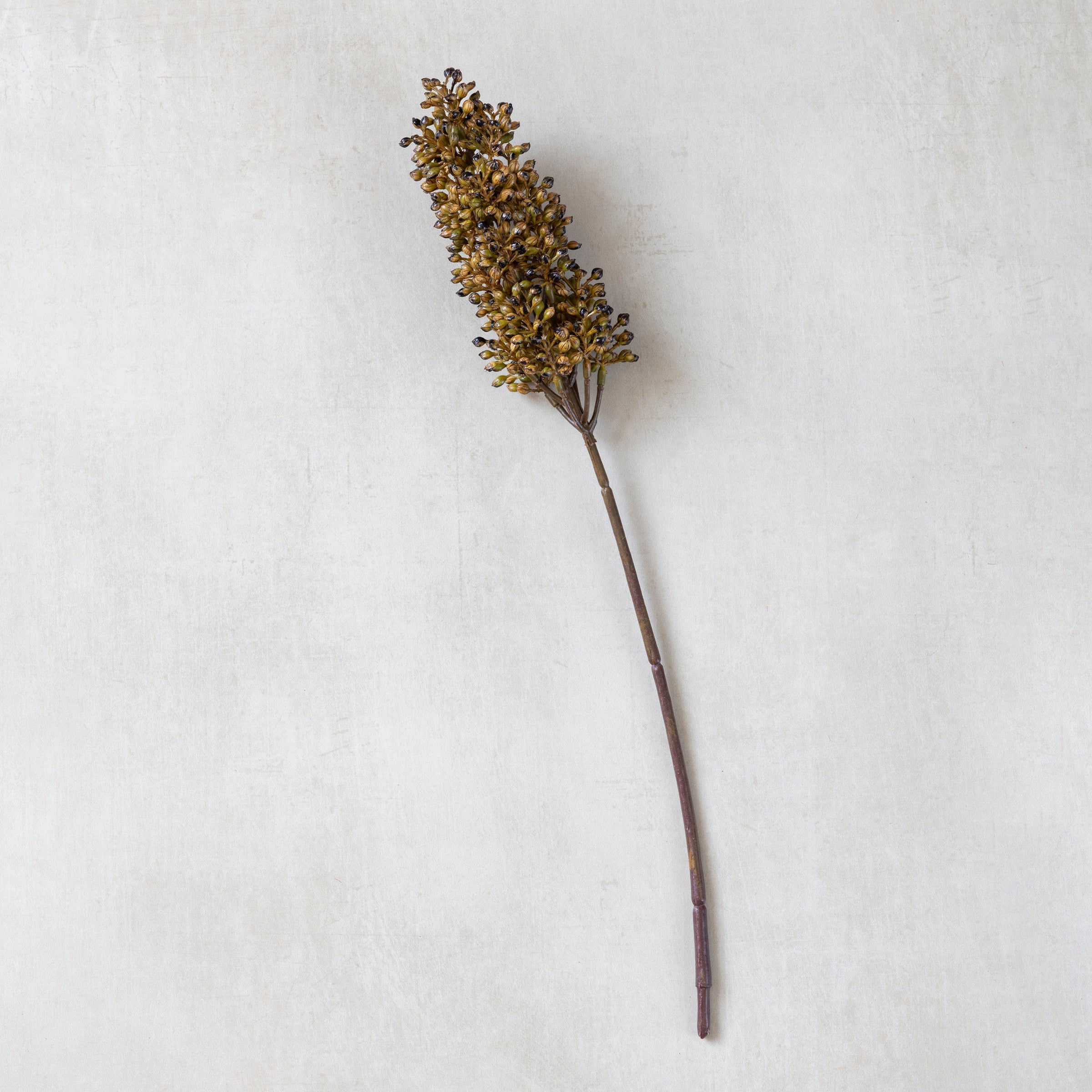 Alternative view of Artificial Sorghum Stem, Umber