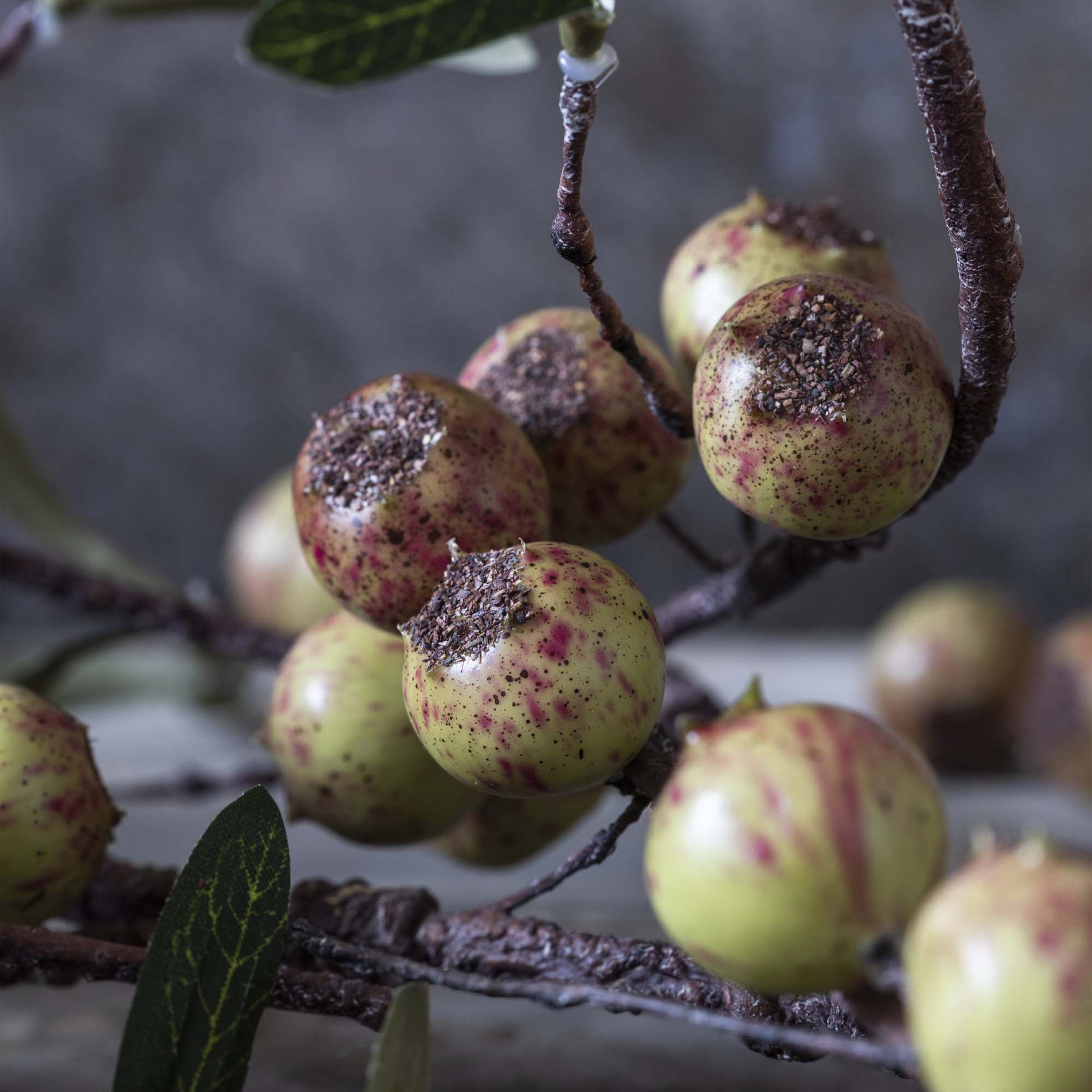 Artificial Rosehip Stem, Dappled - Image 3