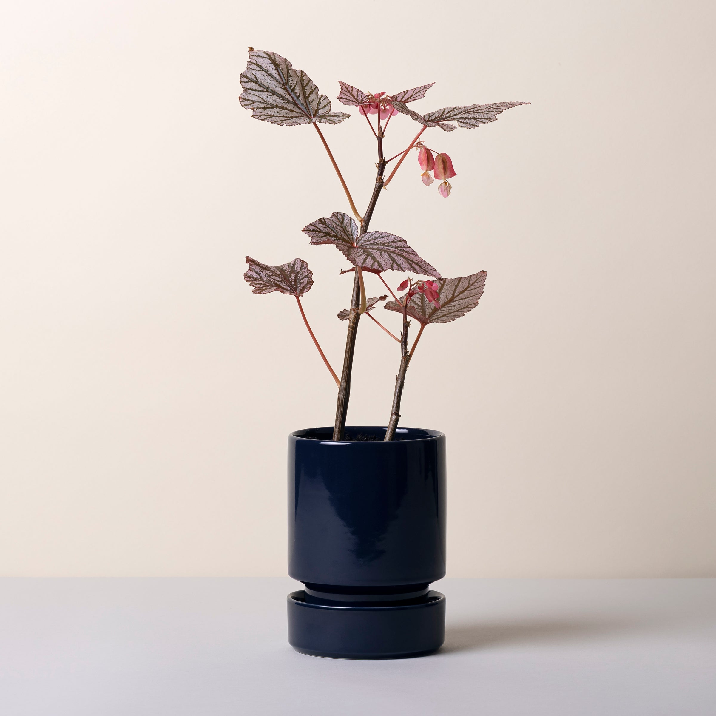 Hoff Glazed Sapphire Blue 12cm Pot with Saucer